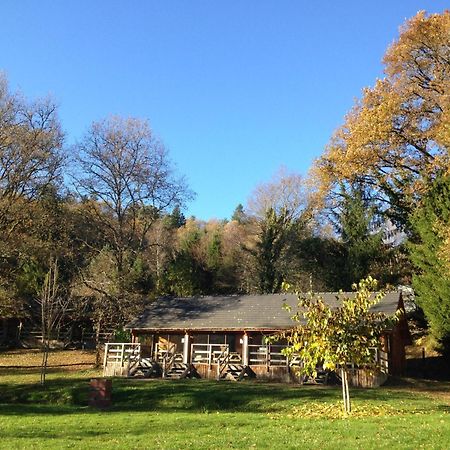 Au Bois De Calais Villa Corrèze Eksteriør bilde